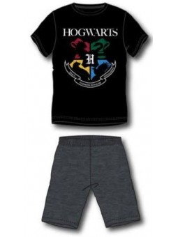 Pijama de Hogwarts de Harry...