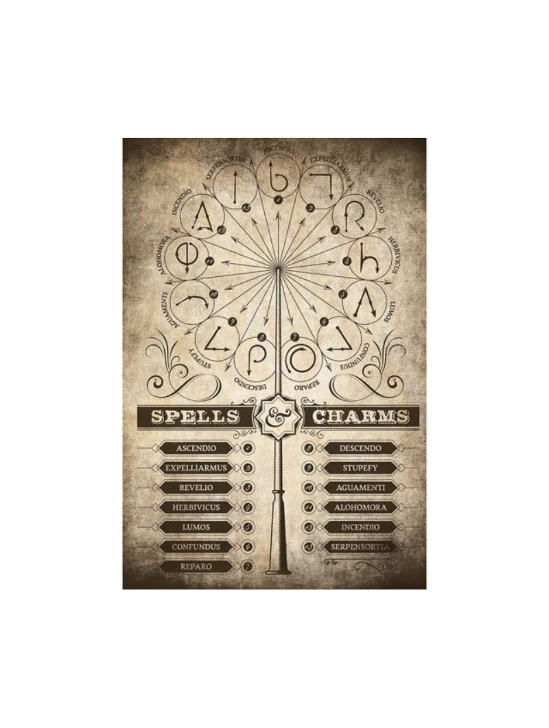 Póster Harry Potter: Spells & Charms