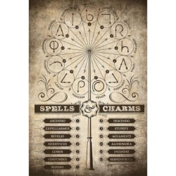 Póster Harry Potter: Spells & Charms