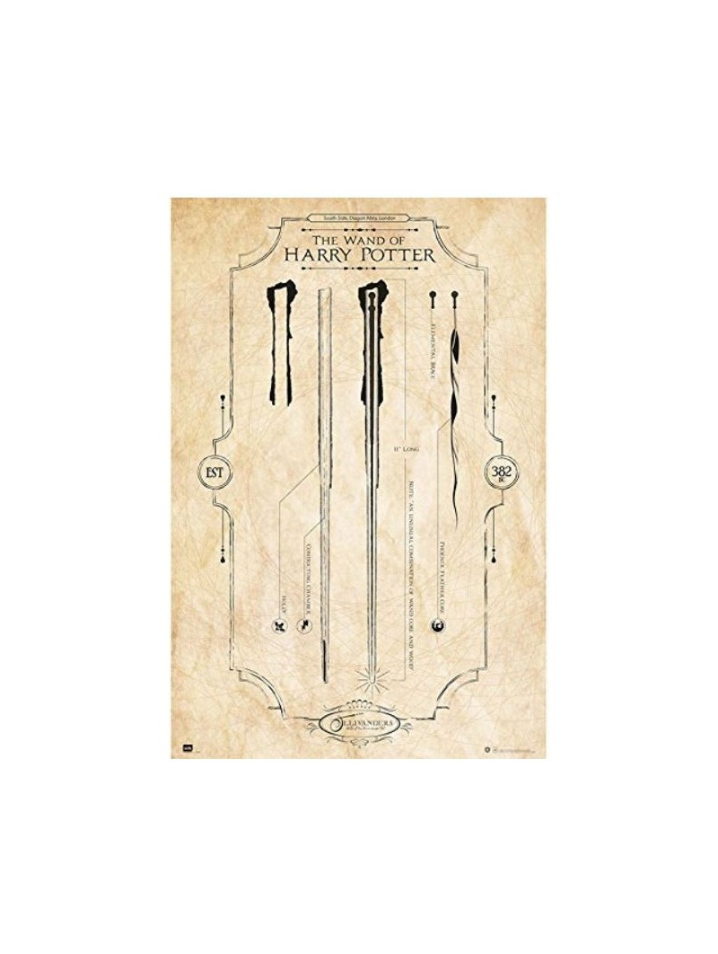 Póster Harry Potter: The Wand