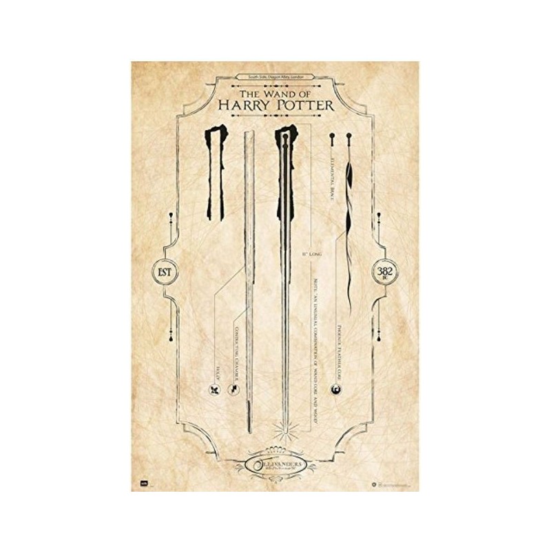 Póster Harry Potter: The Wand