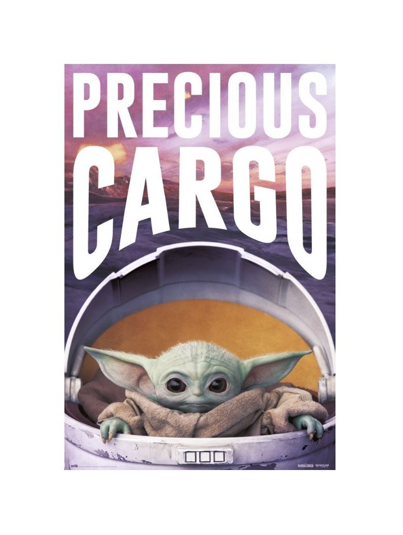 Póster Star Wars The Mandalorian Precious Cargo