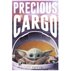 Póster Star Wars The Mandalorian Precious Cargo